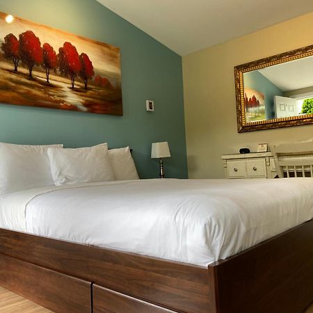 Motel Des Cedres Шербрук Екстериор снимка