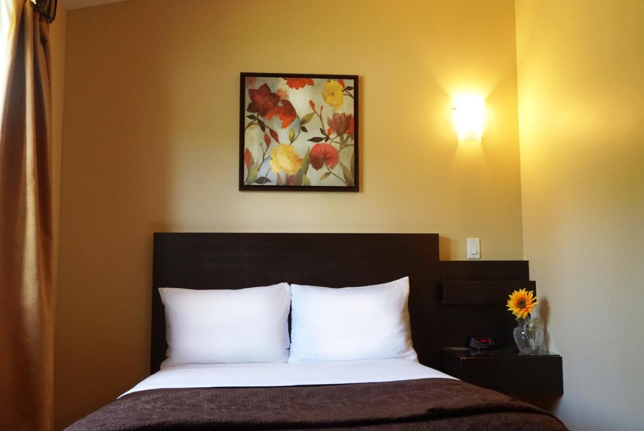 Motel Des Cedres Шербрук Екстериор снимка