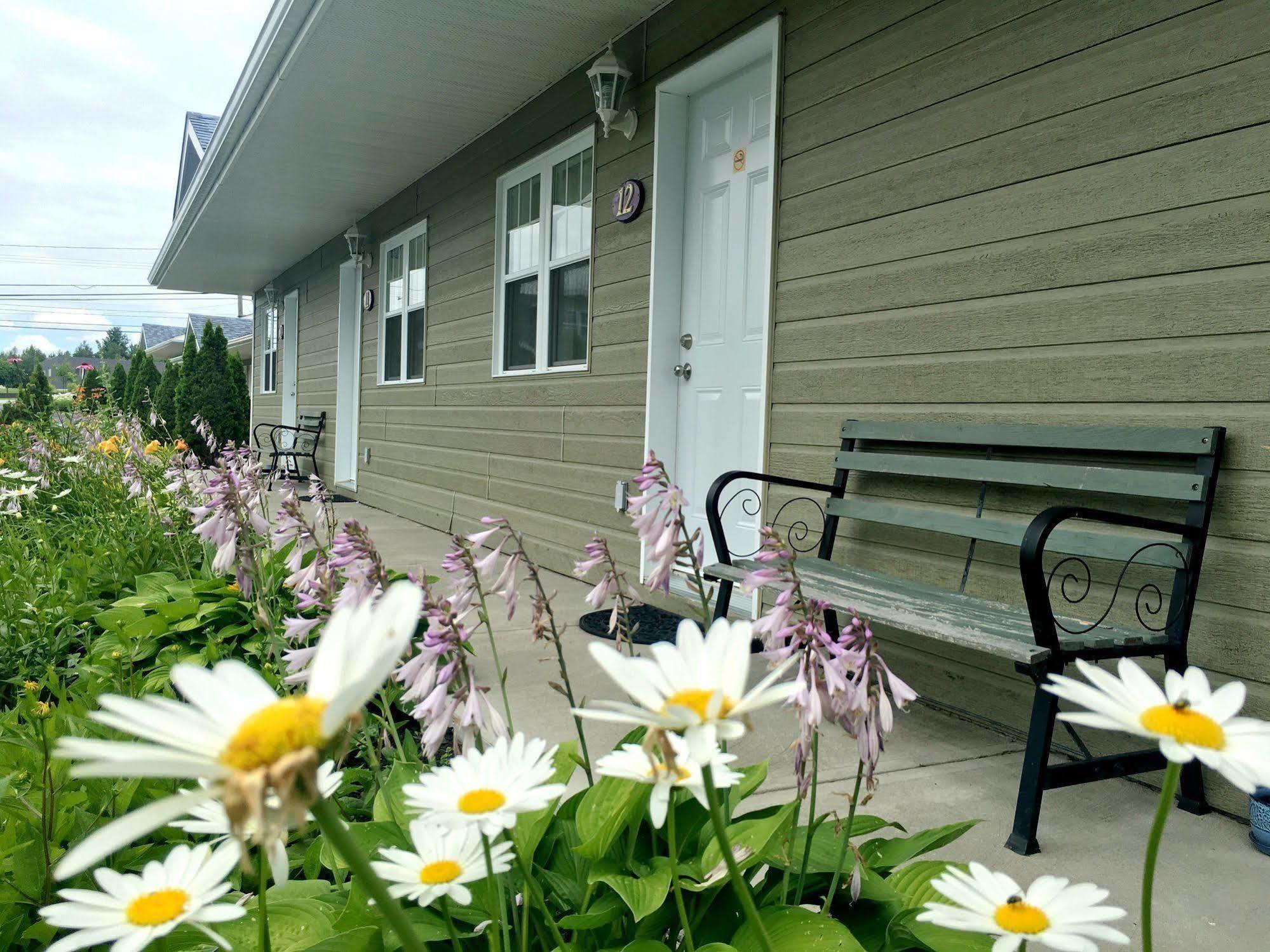 Motel Des Cedres Шербрук Екстериор снимка