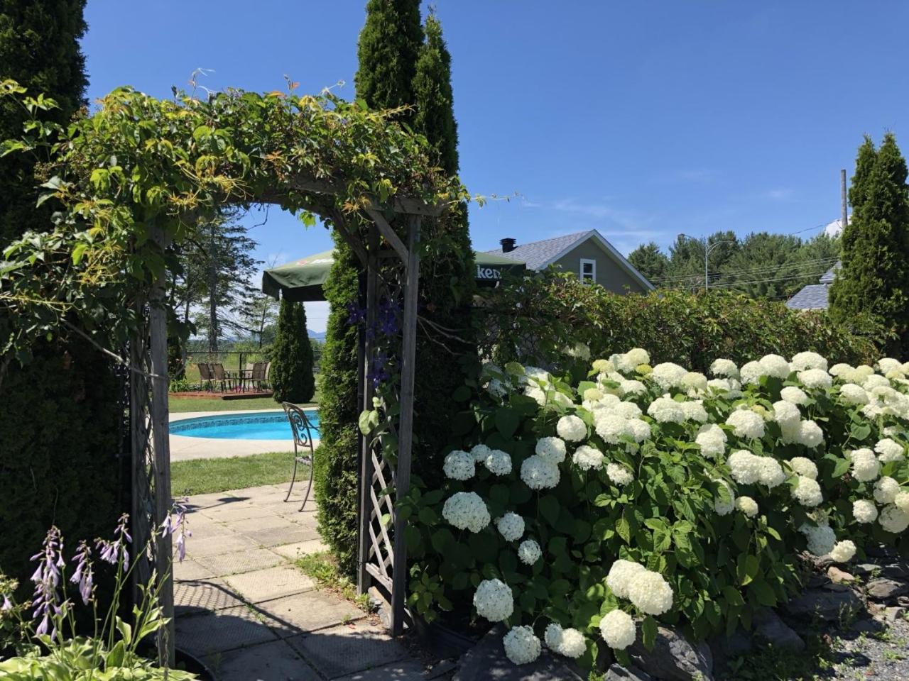 Motel Des Cedres Шербрук Екстериор снимка